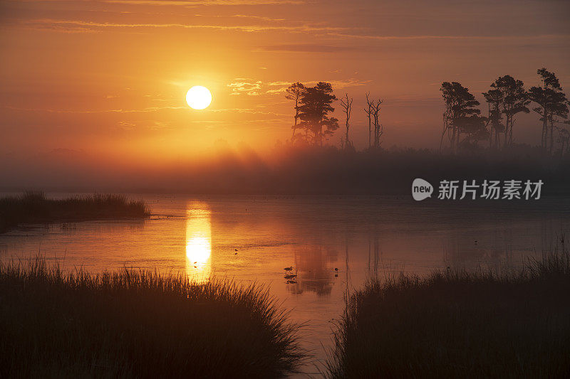 日出时分的Chincoteague岛