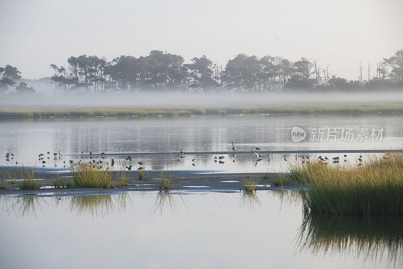 Chincoteague岛的风景