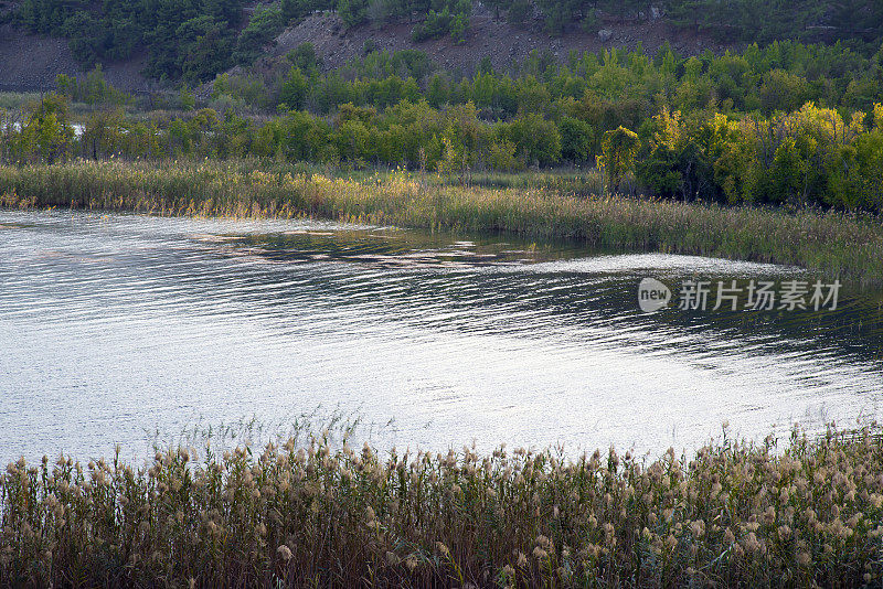 湖景