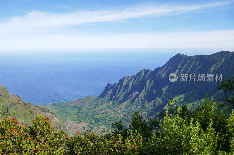 威美亚峡谷，考艾岛，美国夏威夷