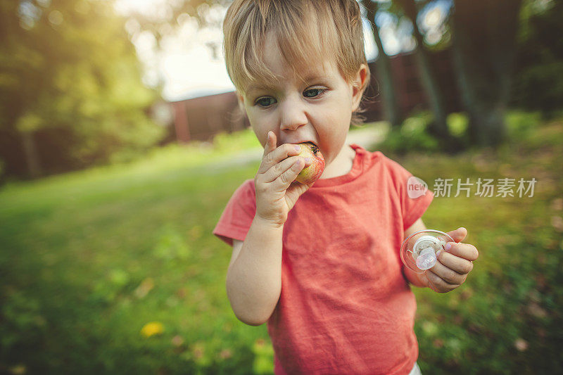 可爱的幼童在夏天的户外咬苹果