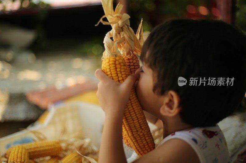 小男孩在啃新鲜的玉米棒子