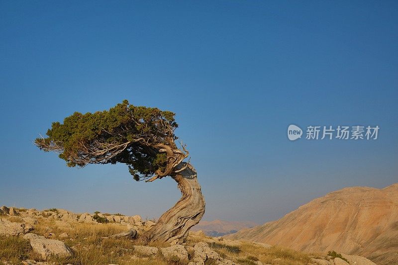 土耳其安塔利亚的黄昏山景