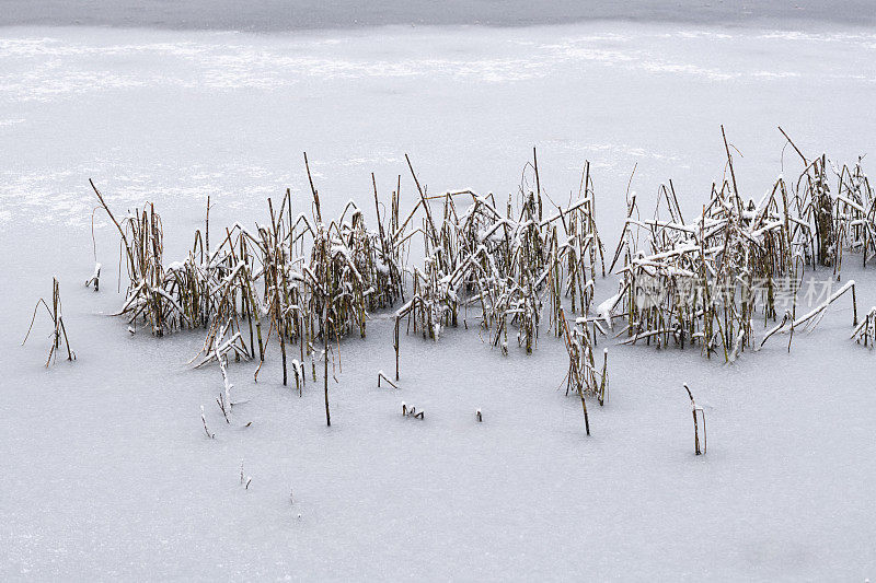 结冰的池塘或冬天被雪覆盖的小湖