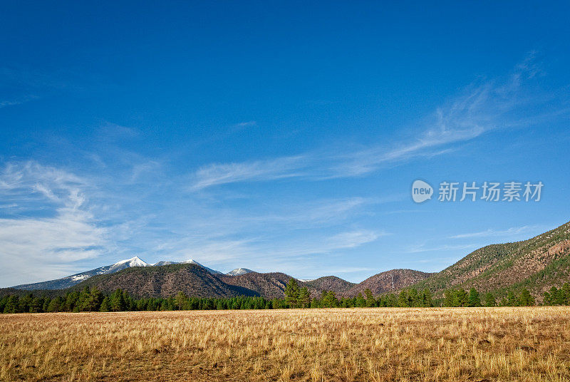 布法罗公园和旧金山峰