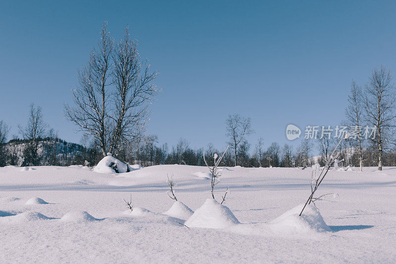 挪威森加岛冬季的冰雪景观