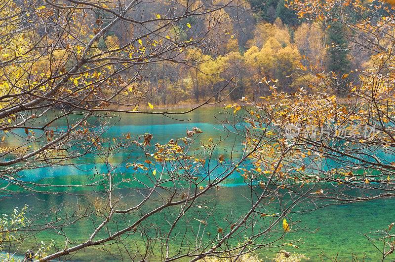 观赏风景优美的木山和湖泊景观，中国九寨沟国家公园