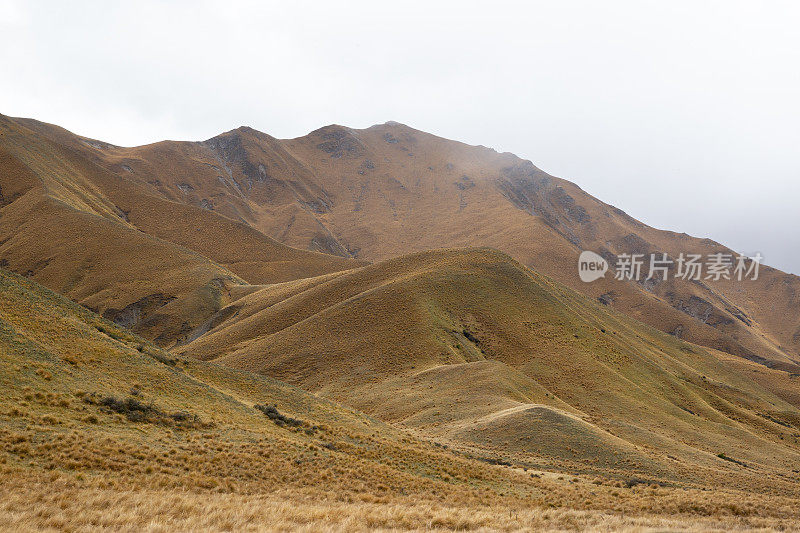 新西兰南岛林迪斯山口干燥干燥的山坡