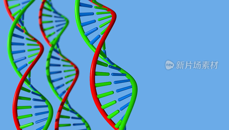 dna分子生物化学的概念