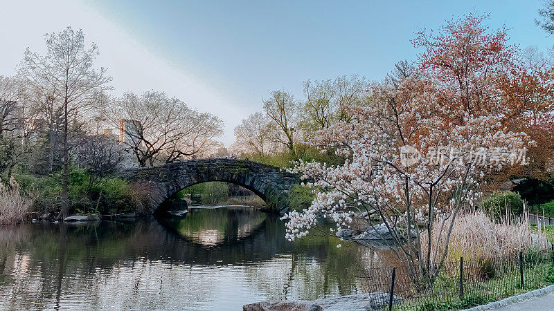 曼哈顿中央公园的场景