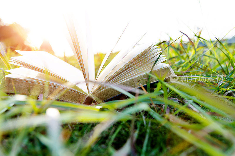 在草地上打开书