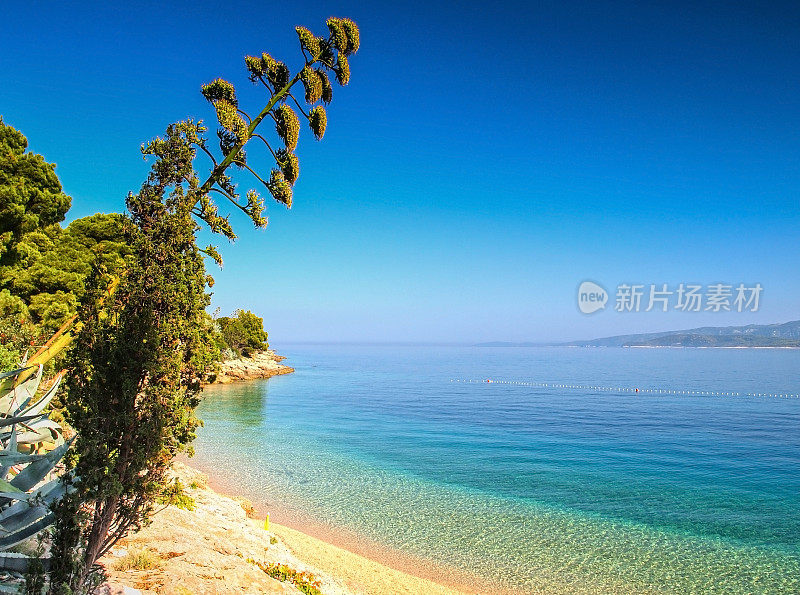 天堂亚得里亚海海滨