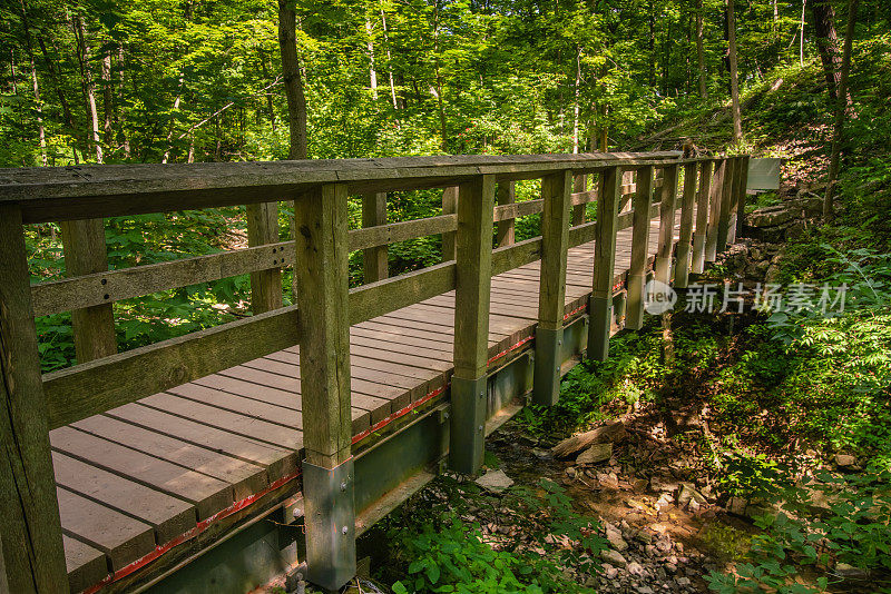 布鲁斯步道在森林地区看一座桥