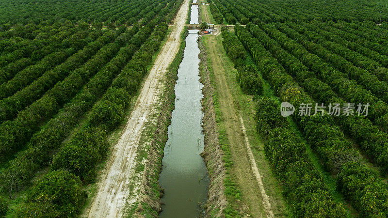 灌溉渠道在佛罗里达橙林-空中