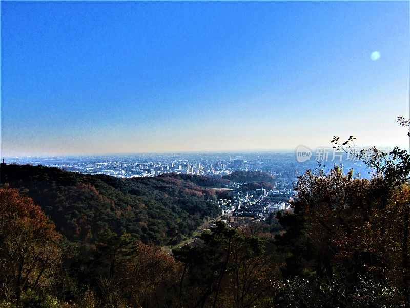 日本。12月。月亮在太田城的蓝天上。从邻居的山上看。