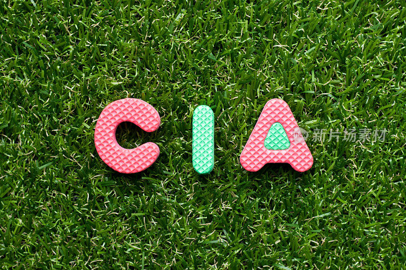 玩具泡沫字母在单词CIA(注册内部审计师的缩写)上的绿草背景