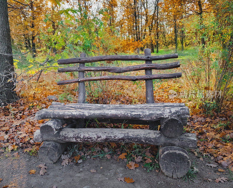 森林木凳景。森林深处的木凳。森林里的木凳。秋天公园长椅