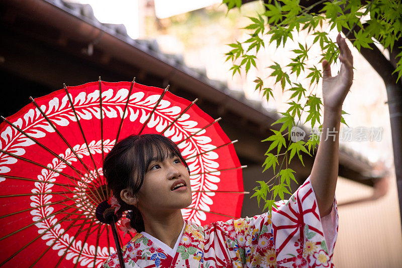 十几岁的女孩穿着和服，拿着纸伞参观日本传统花园