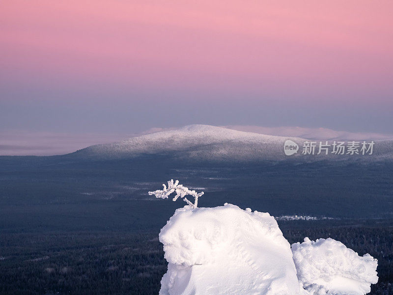 令人惊叹的禅宗景观与积雪覆盖的树枝在一个圆锥形山的背景上，紫色的早晨天空。令人惊异的寒冷粉红色黎明在雪山冬季。神秘的北极童话。