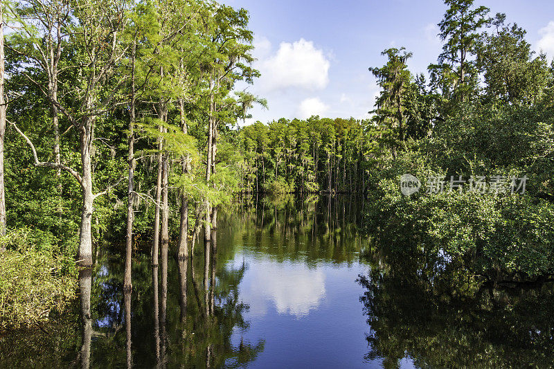 瓦格尔溪被公认为佛罗里达大沼泽地的源头。这是瓦格尔溪保护区，在它进入佛罗里达州基西米的托霍普卡利加湖之前，观鸟者、鲈鱼渔民、皮划艇爱好者和游客在这里享受生态旅游
