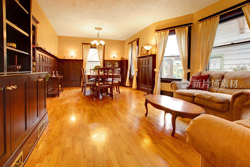 金红木豪华客厅和硬木