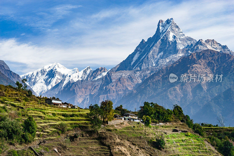 Machhapuchhre和梯田，尼泊尔