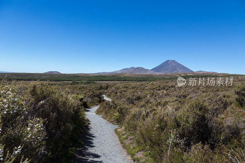 汤加里罗国家公园火山，新西兰