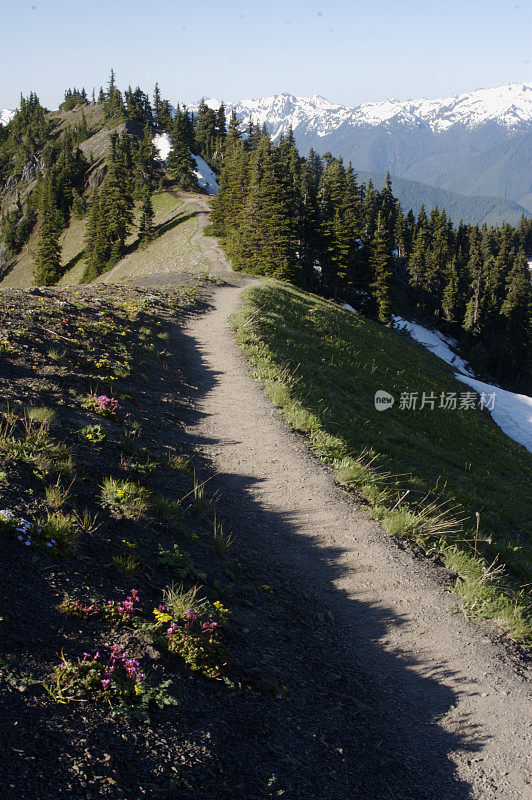 奥林匹克国家公园的高山步道