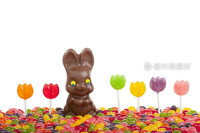 被糖果包围的巧克力兔子