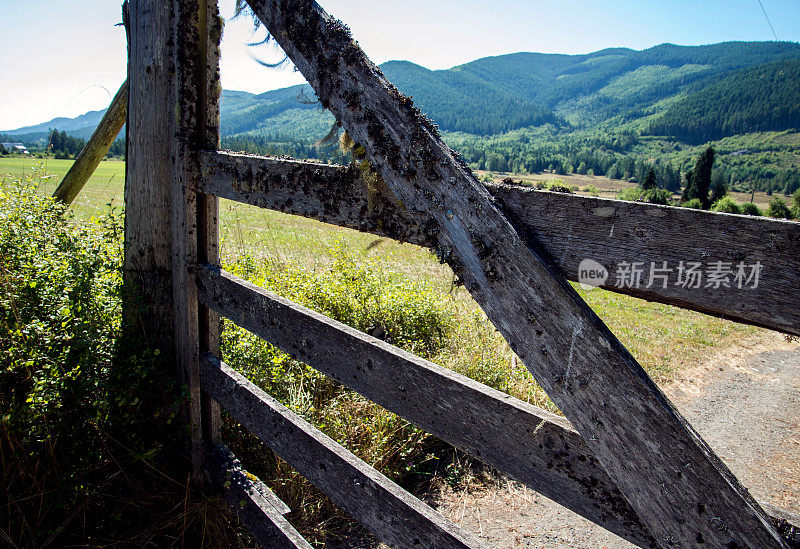 透过栅栏的视野