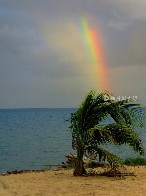 伯利兹，霍普金斯海滩上的彩虹