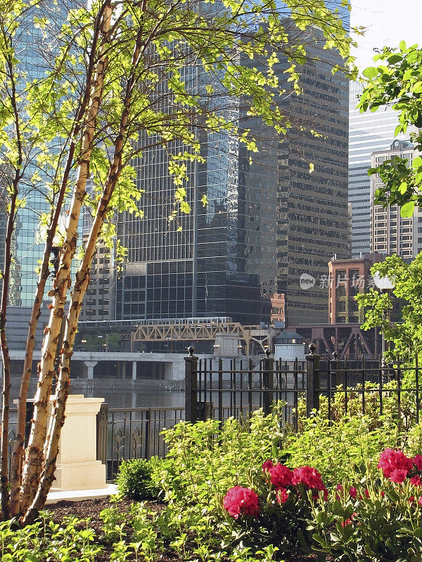 芝加哥河景观框架