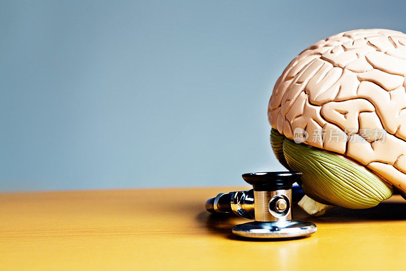 带有模型大脑的听诊器:心理健康、循环或中风问题