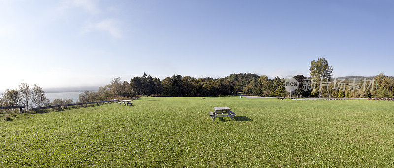 野餐全景