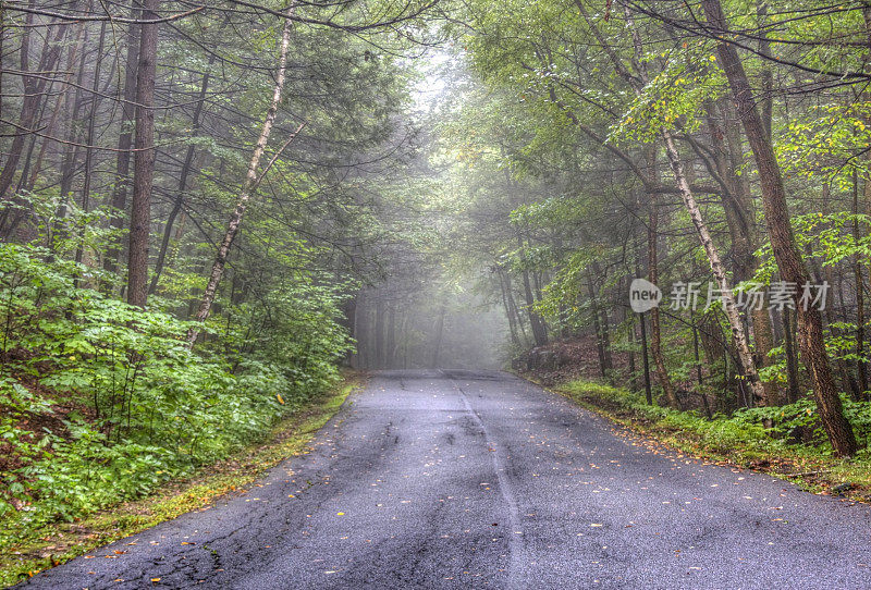 模糊的道路