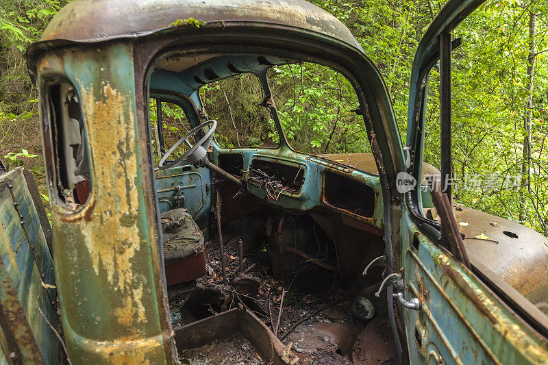车厢上的废弃陈旧生锈的汽车残骸隐藏在森林里