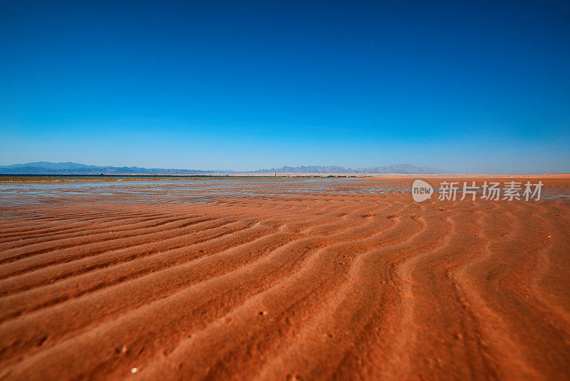 热带夏季背景