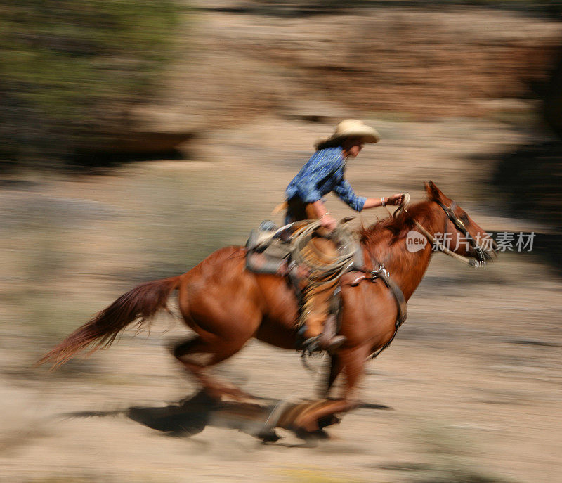 《牛仔和牧马人》系列3中与女牛仔一起飞奔的马