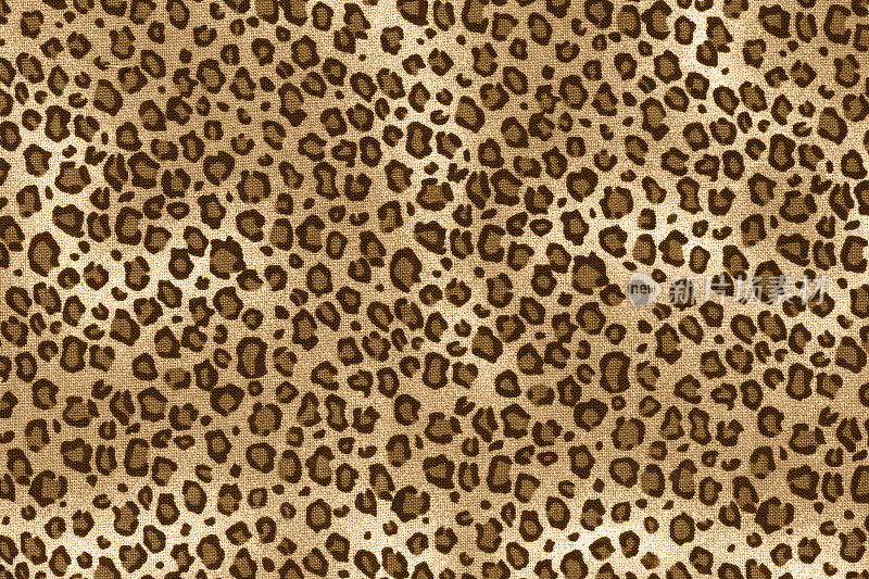 Cheeta印花布