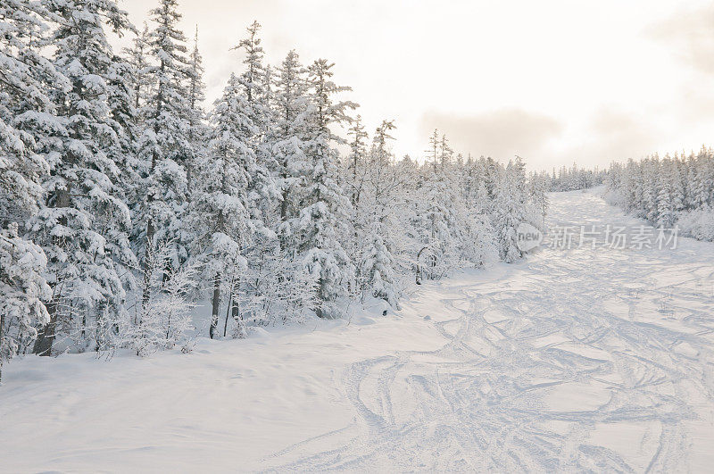 高山景观滑雪道