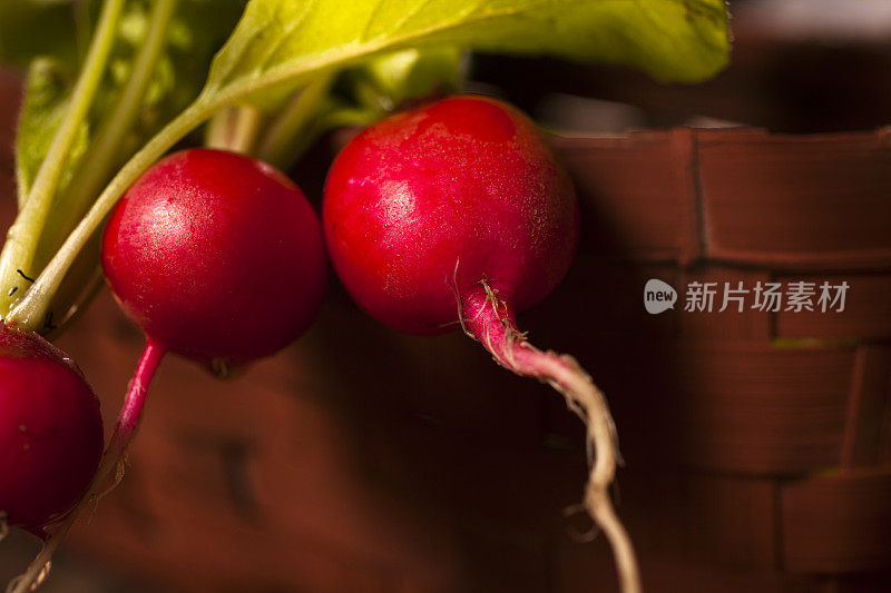 特写镜头。一束刚从花园里摘下来的萝卜。篮子里。