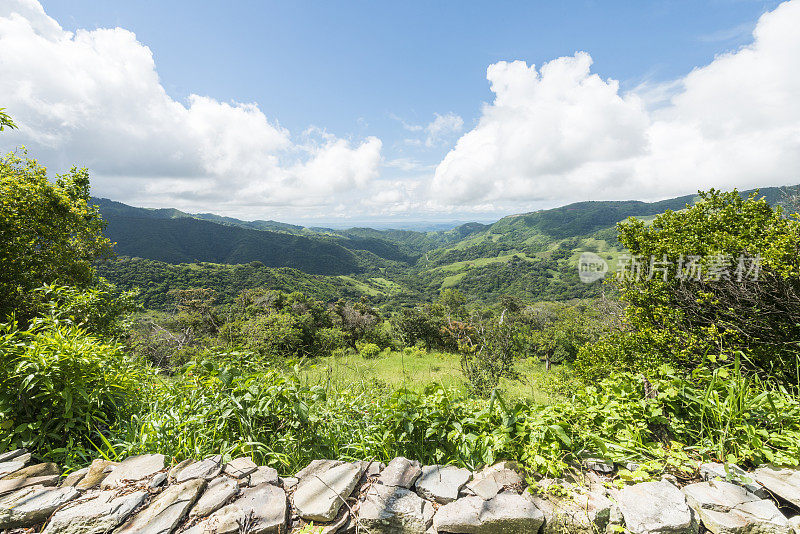 绿色风景景观在蒙特verde哥斯达黎加中美洲