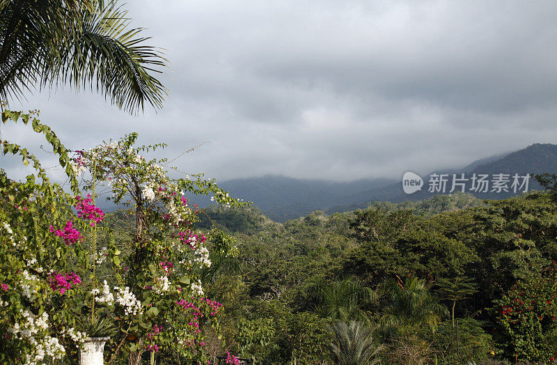 墨西哥马德雷山脉有丛林和暴雨