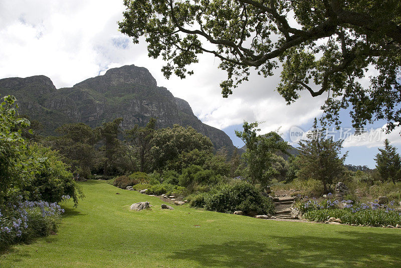 Kirstenbosch植物园