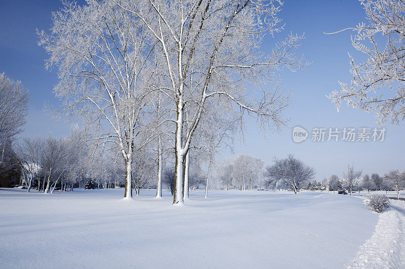 完美的下雪天。