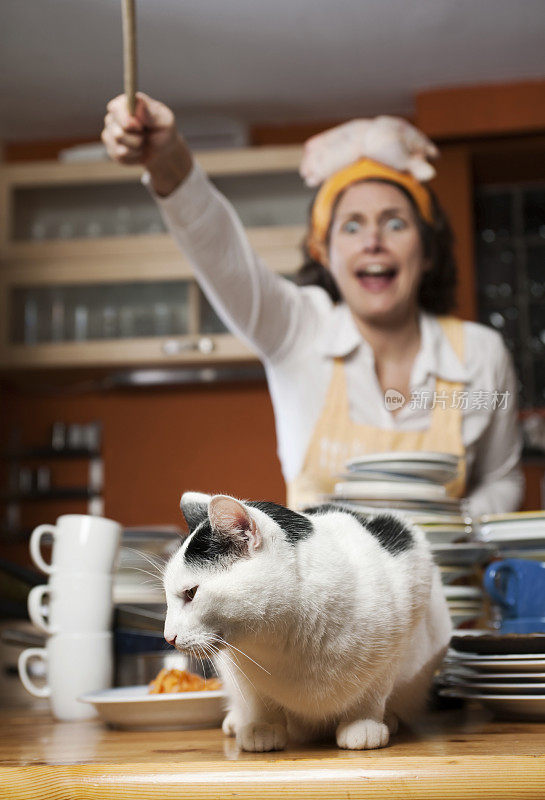 疯狂的家庭主妇在打猫