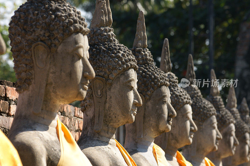 泰国大城府的一排佛祖