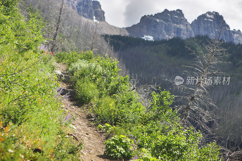 落基山徒步旅行小径大陆分水岭