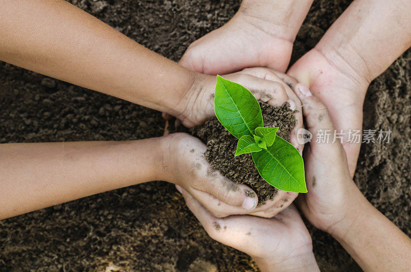 成长概念生态集团携手儿童在土壤背景下共同种植