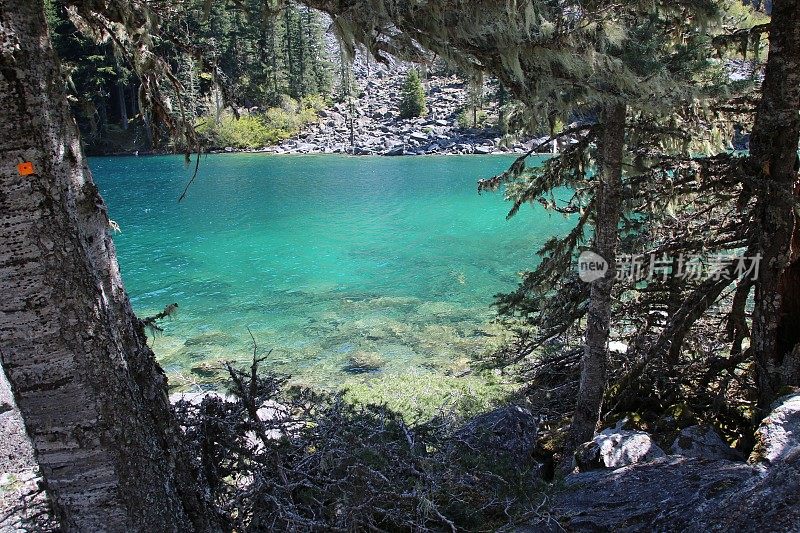 夏天游泳的湖